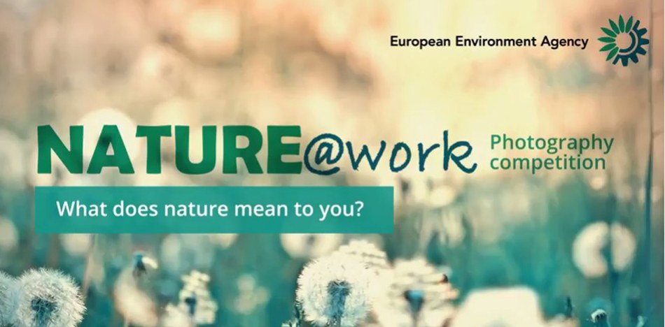 What does nature mean to you? NATURE@work photo competition launched ...