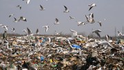 What does waste look like? Photo, cartoon and video competition