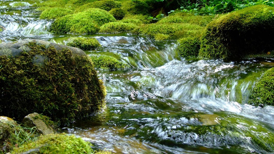 World Water Day: Turning to nature for solutions