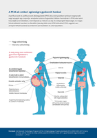 A PFAS-ek emberi egészségre gyakorolt hatásai
