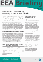 EEA Briefing 2/2004 - Orkuniðurgreiðslur og endurnýjanlegar orkulindir