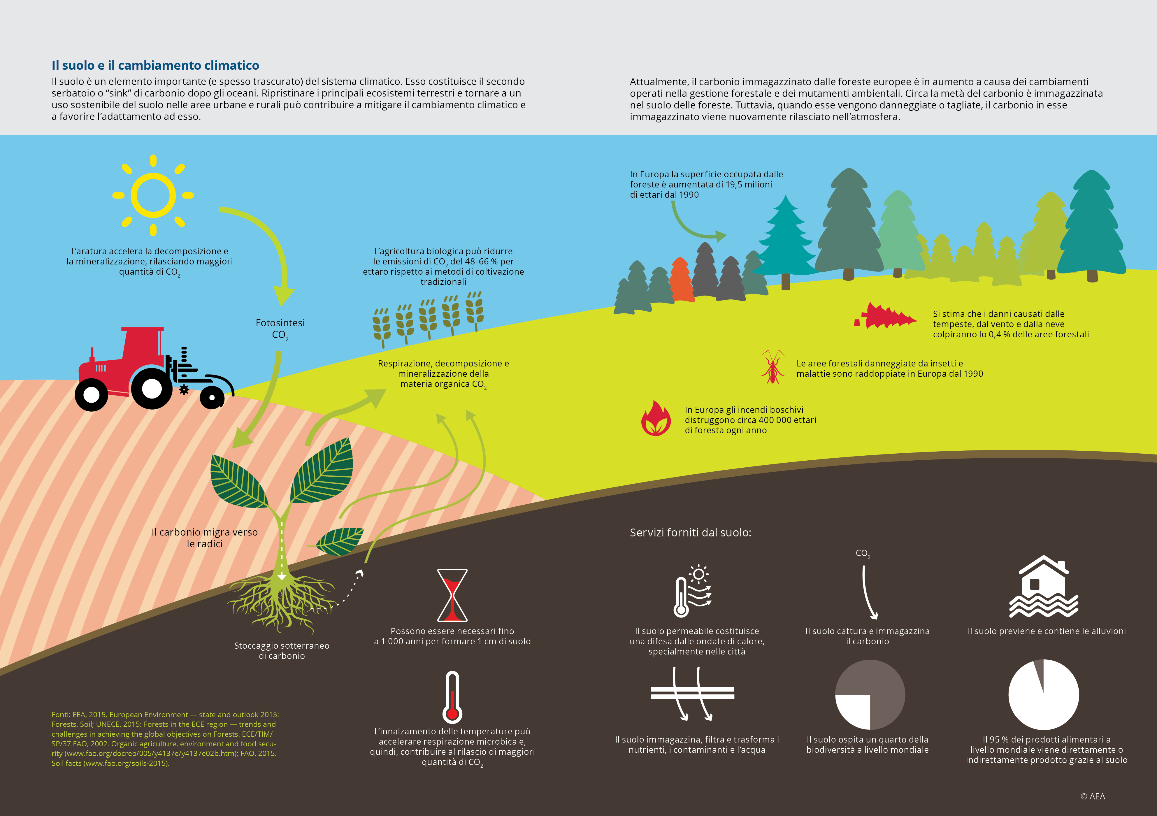 Il suolo e il cambiamento climatico