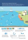 Quali sono le fonti e l’impatto dei rifiuti marini?