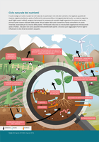 Ciclo naturale dei nutrienti