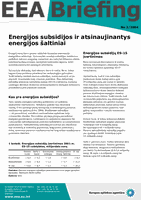 EEA Briefing 2/2004 - Energijos subsidijos ir atsinaujinantys energijos šaltiniai