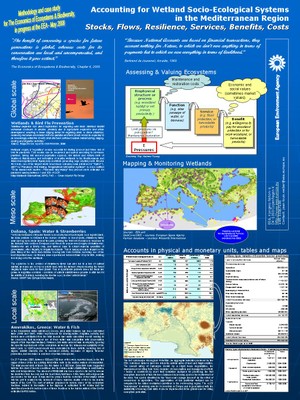 Accounting for Wetland Socio-Ecological Systems in the Mediterranean Region