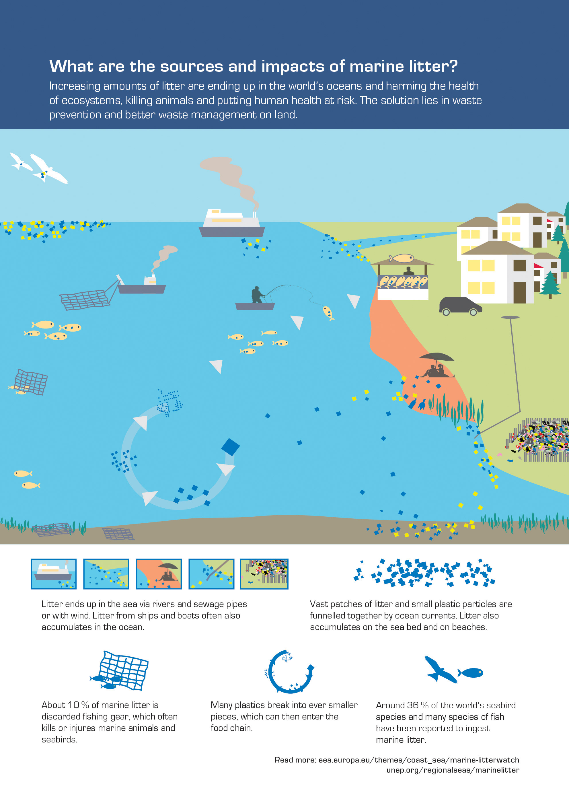What are the sources and impacts of marine litter?
