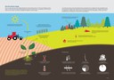 Soil and climate change