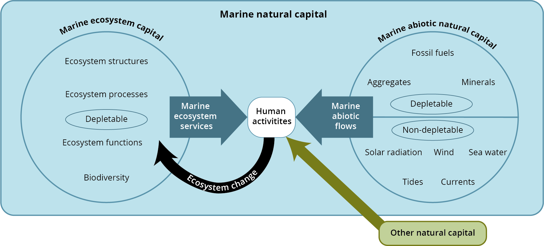 The constituents of marine natural capital