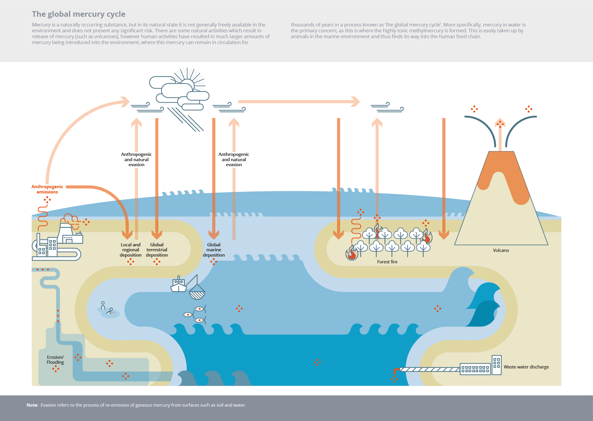 The global mercury cycle