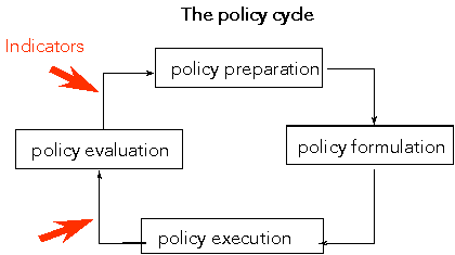 The policy cycle