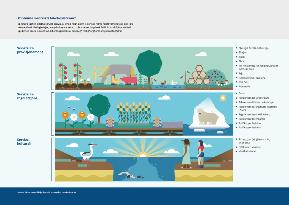 X’inhuma s-servizzi tal-ekosistema?