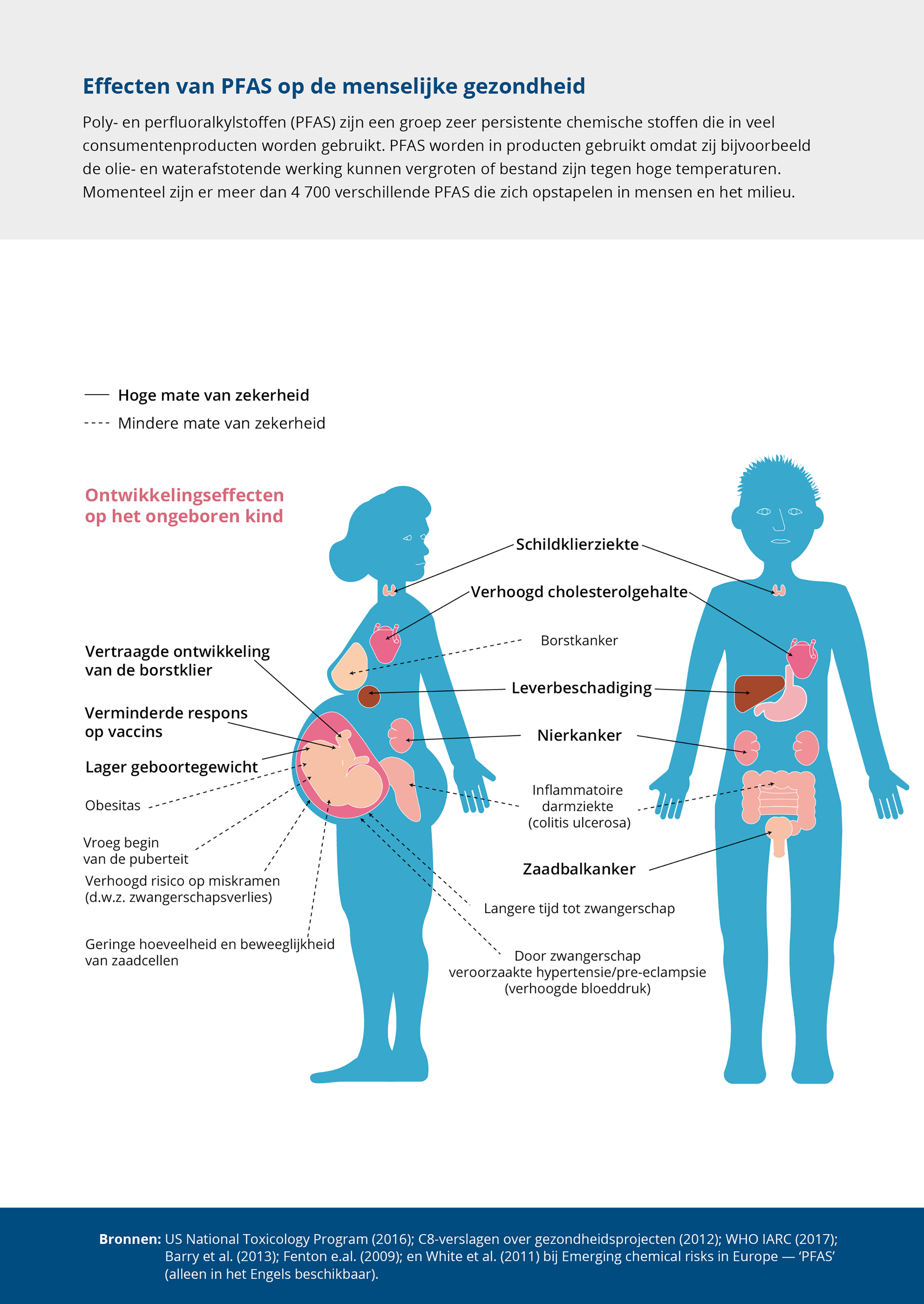 Effecten van PFAS op de menselijke gezondheid 