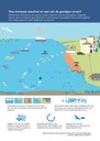 Hoe ontstaat zeeafval en wat zijn de gevolgen ervan?