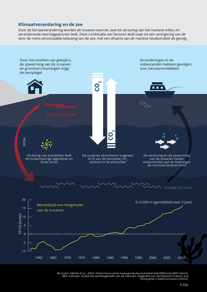 Door de klimaatverandering worden de oceanen warmer, wat tot verzuring van het mariene milieu en veranderende neerslagpatronen leidt. Deze combinatie van factoren leidt vaak tot een verergering van de door de mens veroorzaakte belasting van de zee, met een afname van de mariene biodiversiteit als gevolg.