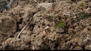 Wywiad – Gleba: żywy skarb pod naszymi stopami