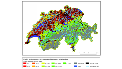 Maps and graphs