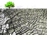Se o poço secar - A adaptação às alterações climáticas e a água