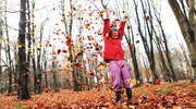 O Ano da Floresta: celebrar as florestas para as pessoas