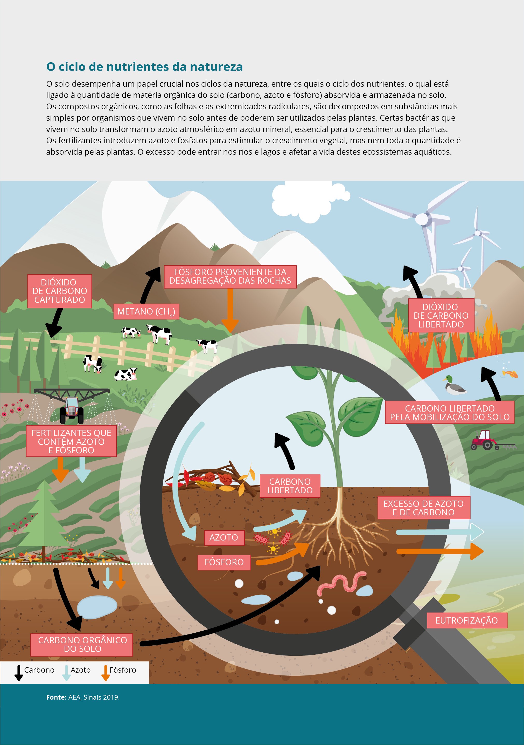 O ciclo de nutrientes da natureza