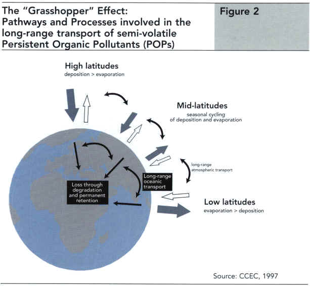 The Grasshopper effect