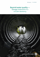 Beyond water quality: sewage treatment in a circular economy 