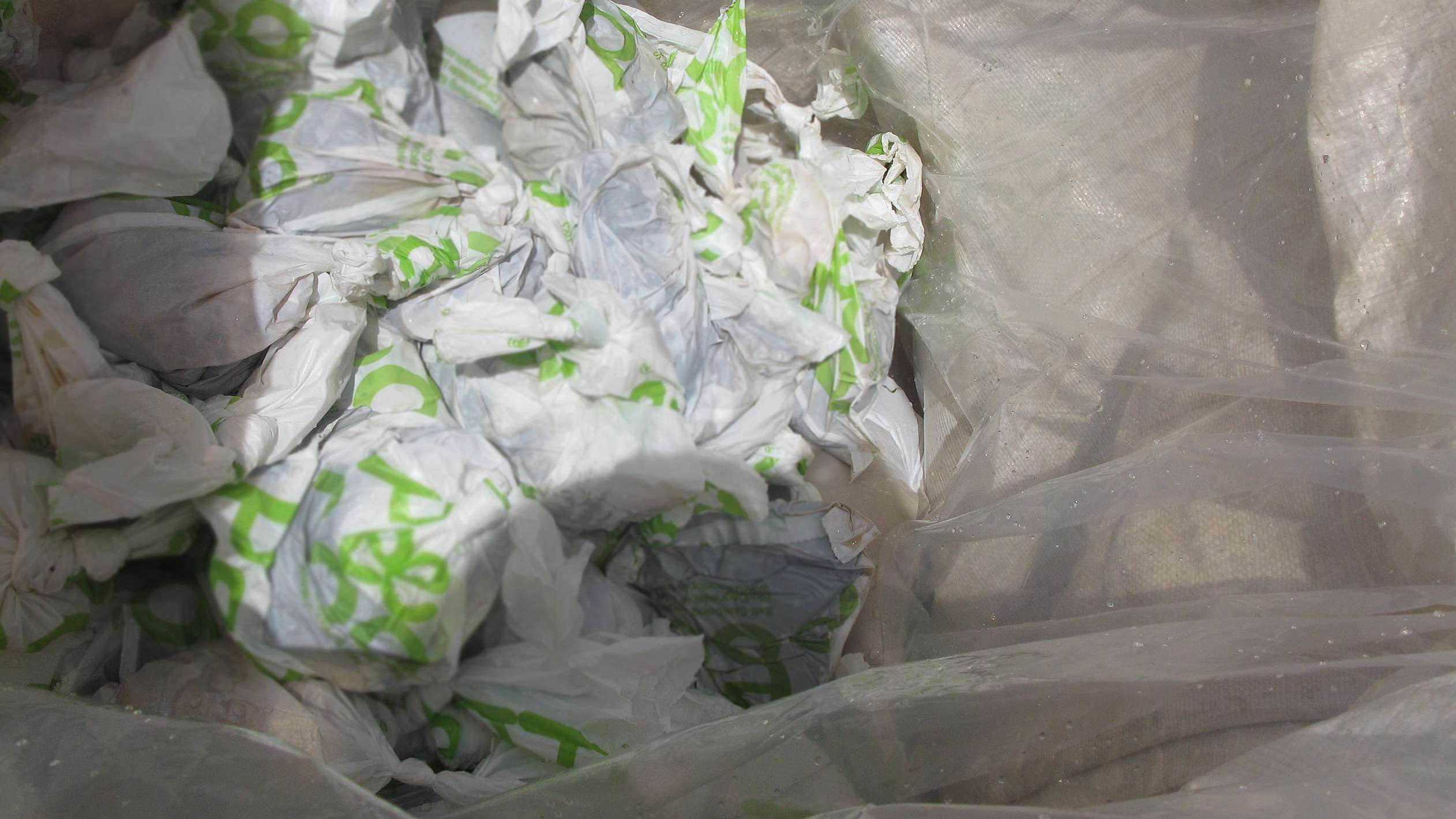 Plastic Bags Vs Paper Bags Which Is More Earth Friendly?, PDF, Biodegradation