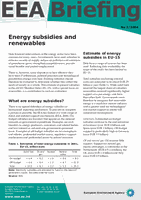 EEA Briefing 2/2004 - Energy subsidies and renewables