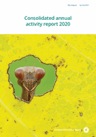 Consolidated annual activity report 2020 (CAAR) – EEA annual report