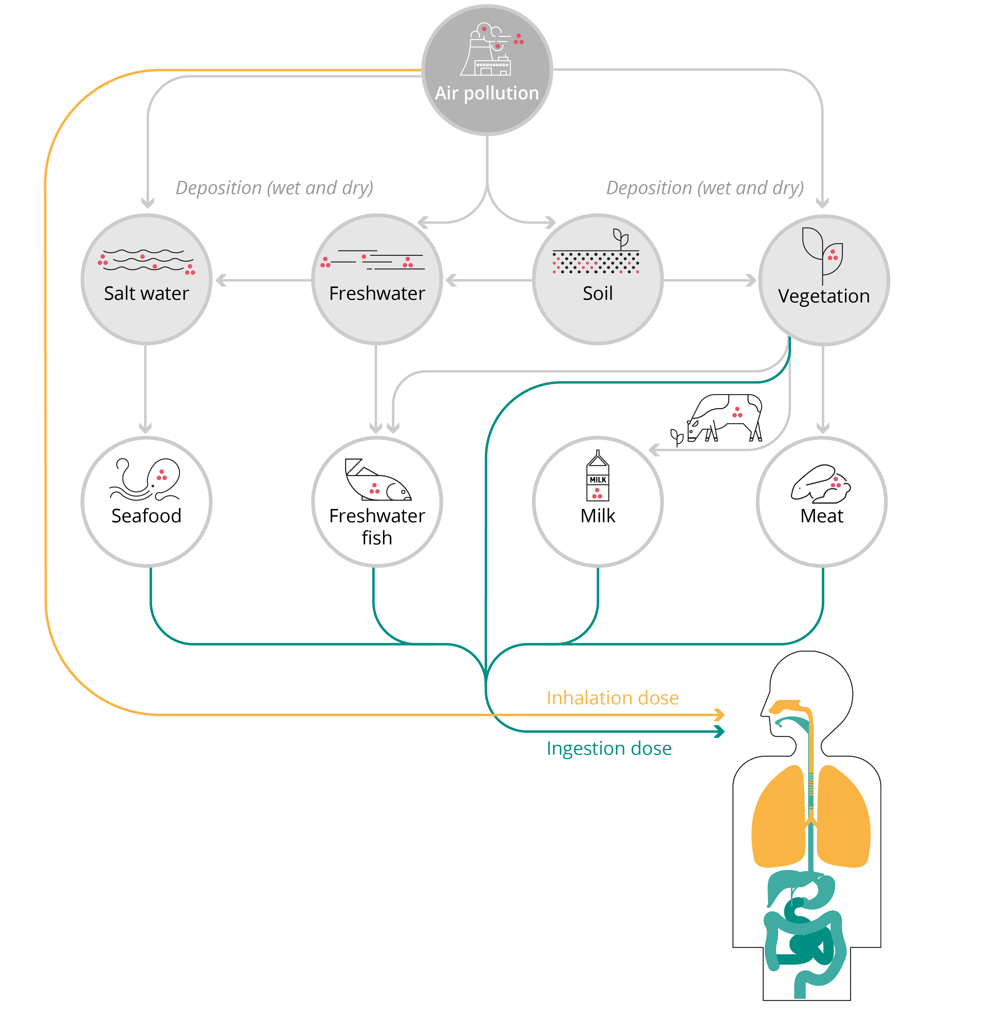 Pathways showing exposure to air pollutants and potential health impacts