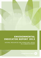 Environmental indicator report 2013