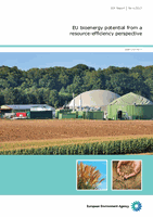 EU bioenergy potential from a resource efficiency perspective