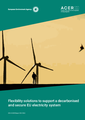 Flexibility solutions to support a decarbonised and secure EU electricity system