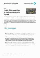 Health risks caused by environmental noise in Europe