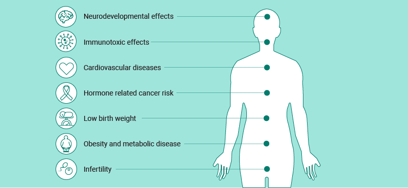 How to Avoid BPA Exposure