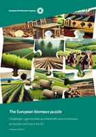 The European Biomass Puzzle