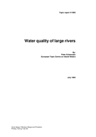 Water quality of large rivers