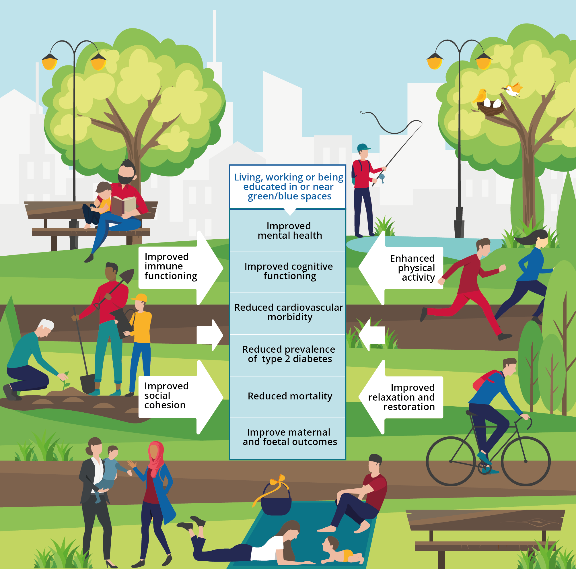 How green are European cities? Green space key to well-being – but access varies