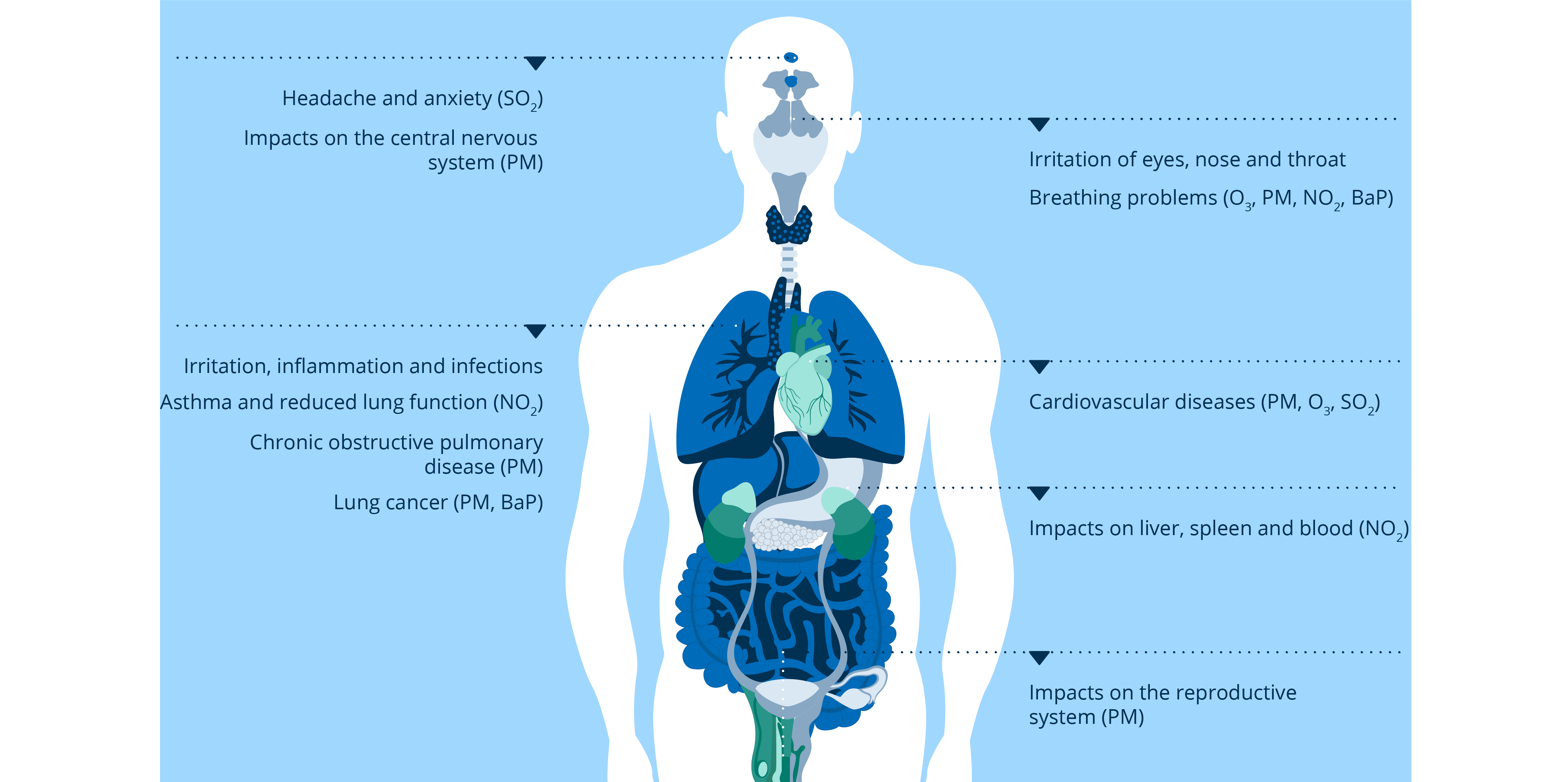 Figure 4. Impacts of air pollution on health