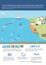 Care sunt sursele de deşeuri marine şi care este impactul acestora asupra mediului?