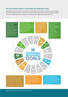 Soil and United Nations Sustainable Development Goals