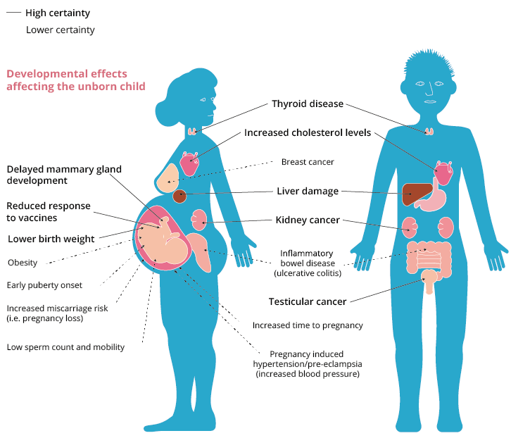 Just How Toxic Are All the Manmade Chemicals in Our Bodies?