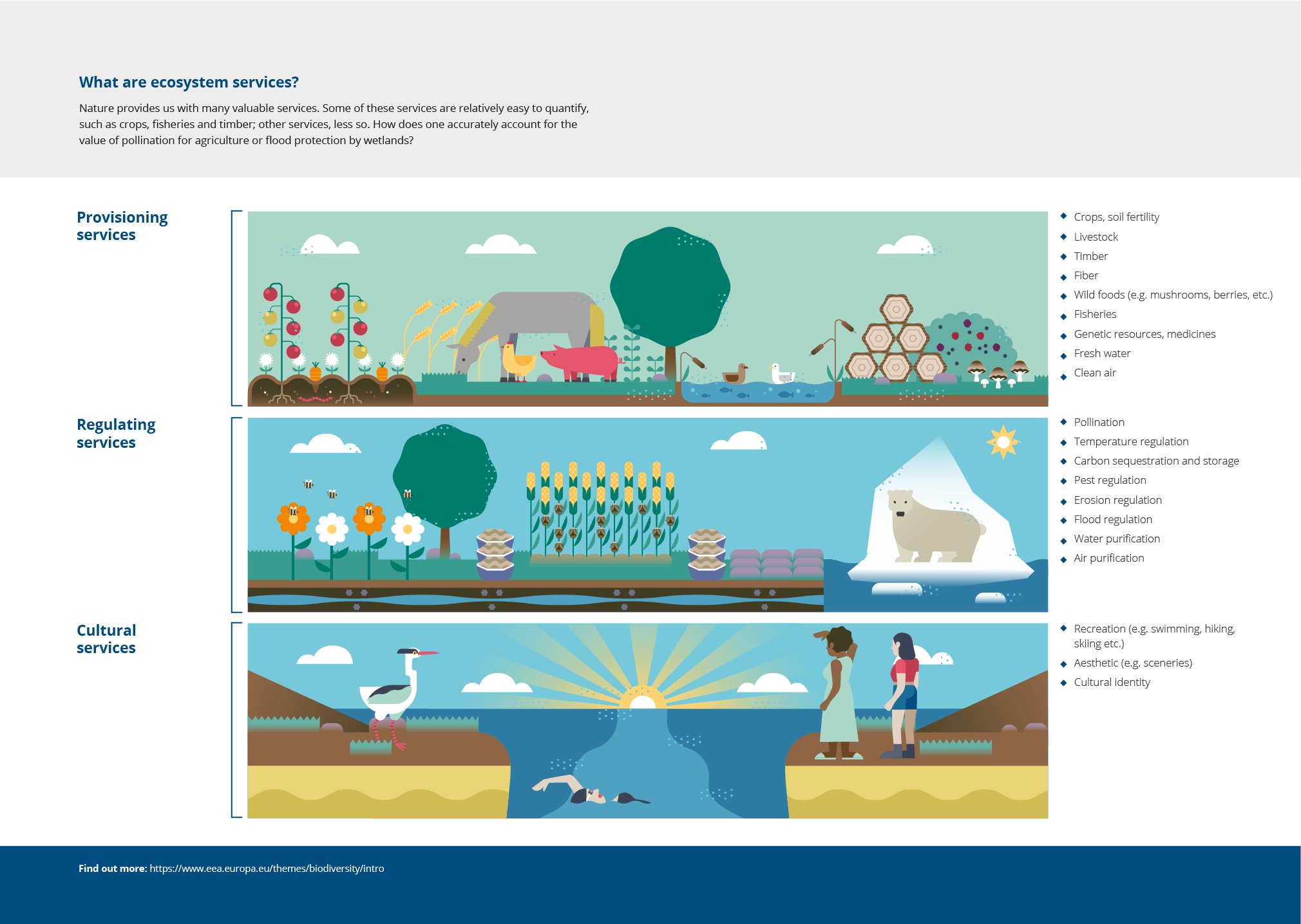 What are ecosystem services?