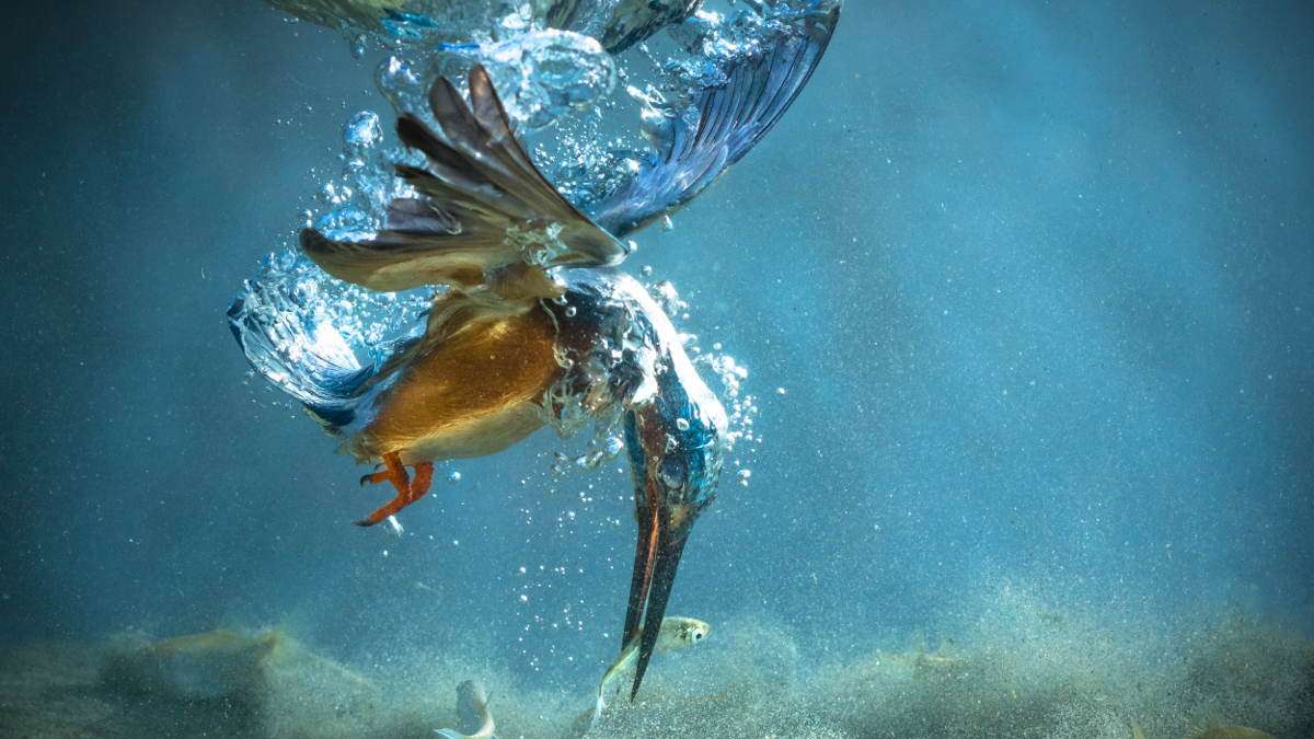 Clean Water Is Life Health Food Leisure Energy European Environment Agency