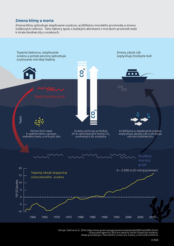 Zmena klímy spôsobuje otepľovanie oceánov, acidifikáciu morského prostredia a zmenu zrážkových režimov. Tieto faktory spolu s ľudskými aktivitami v morskom prostredí vedú k strate biodiverzity v oceánoch.