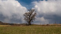 Ovzdušie v Európe je čoraz čistejšie a zlepšuje sa zdravie ľudí