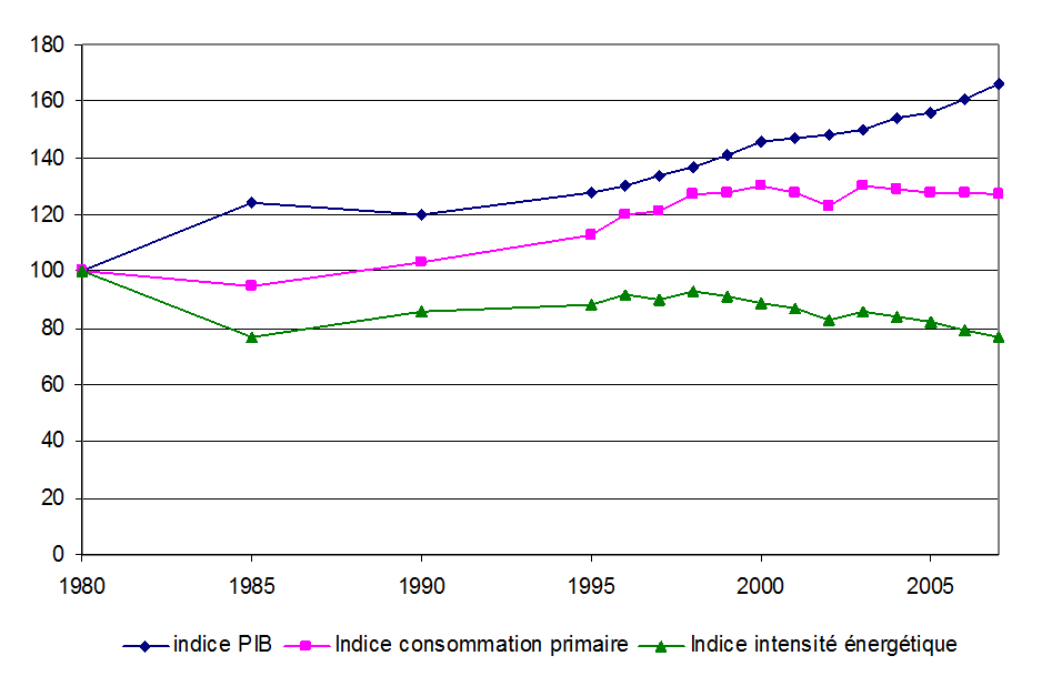 Figure 1: Primary energy intensity in Belgium, 1980-2007
