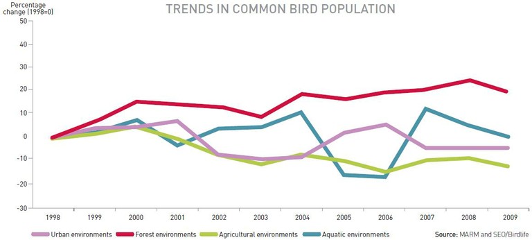 Trends in bird population