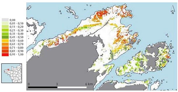 Map predicting the presence of Fucus vésiculeux in waters off the Isle of Bréhat