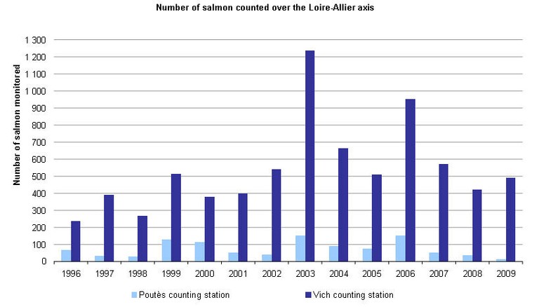 Numbers of salmon counted over the Loire-Allier axis since 1996